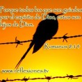 /album/imagenes-cristianas-/a2-jpg/